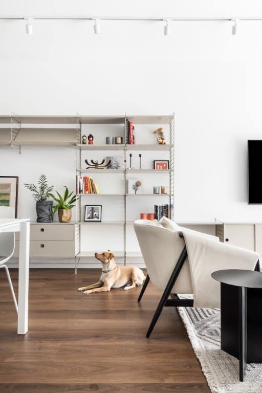 כלב נח על רצפת פרקט בדירת קבלן בגבעתיים